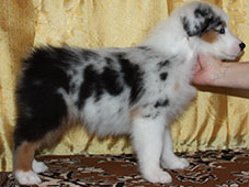 Дата снимка: 